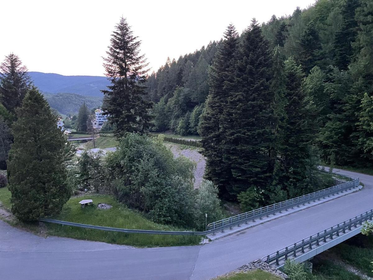 Apartament Kurort Kozubnik - Taras Nad Potokiem Porabka Luaran gambar
