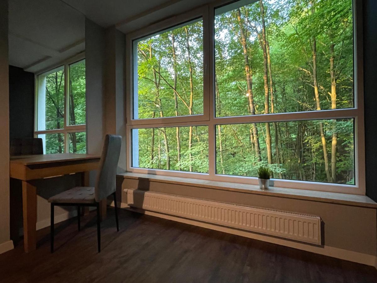 Apartament Kurort Kozubnik - Taras Nad Potokiem Porabka Luaran gambar