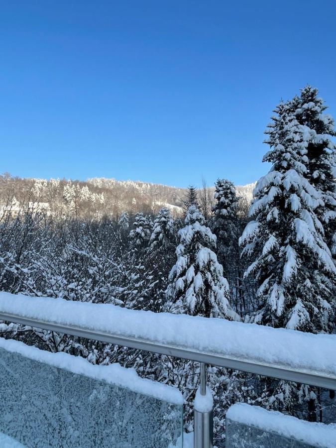 Apartament Kurort Kozubnik - Taras Nad Potokiem Porabka Luaran gambar