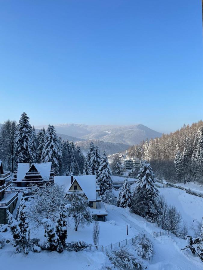 Apartament Kurort Kozubnik - Taras Nad Potokiem Porabka Luaran gambar