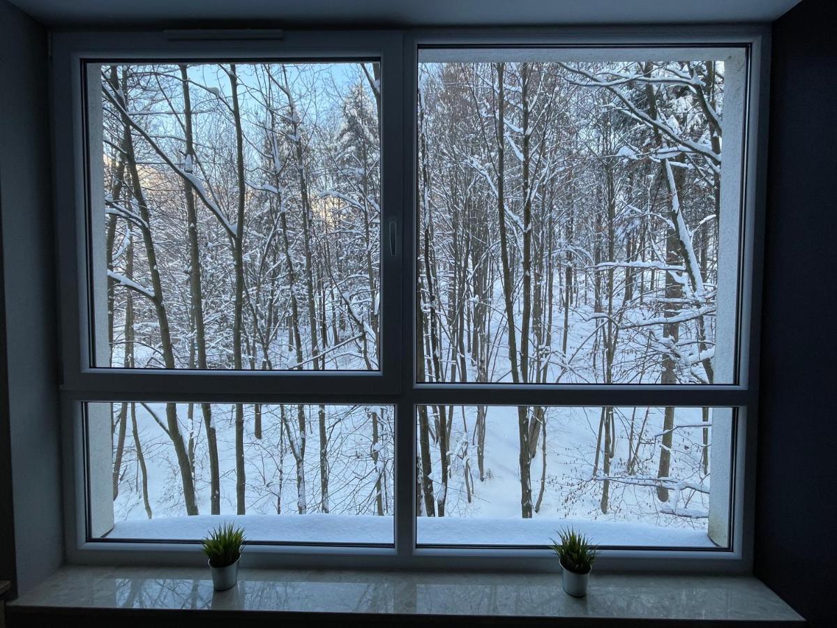 Apartament Kurort Kozubnik - Taras Nad Potokiem Porabka Luaran gambar